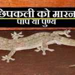 छिपकली मारना