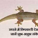 सपने में छिपकली देखना