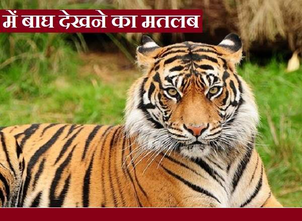 Sapne me Bagh Dekhna: सपने में बाघ देखना शुभ या अशुभ?