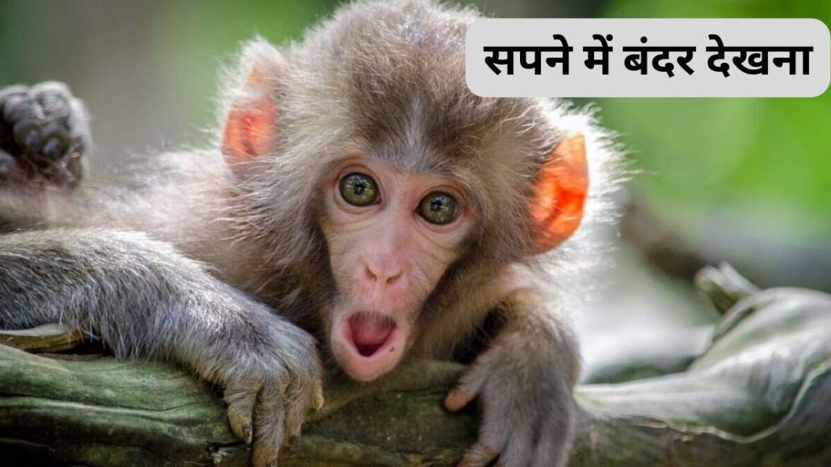 Sapne me Monkey Dekhna