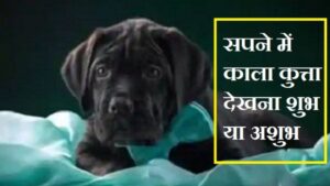 सपने में काला कुत्ता देखना