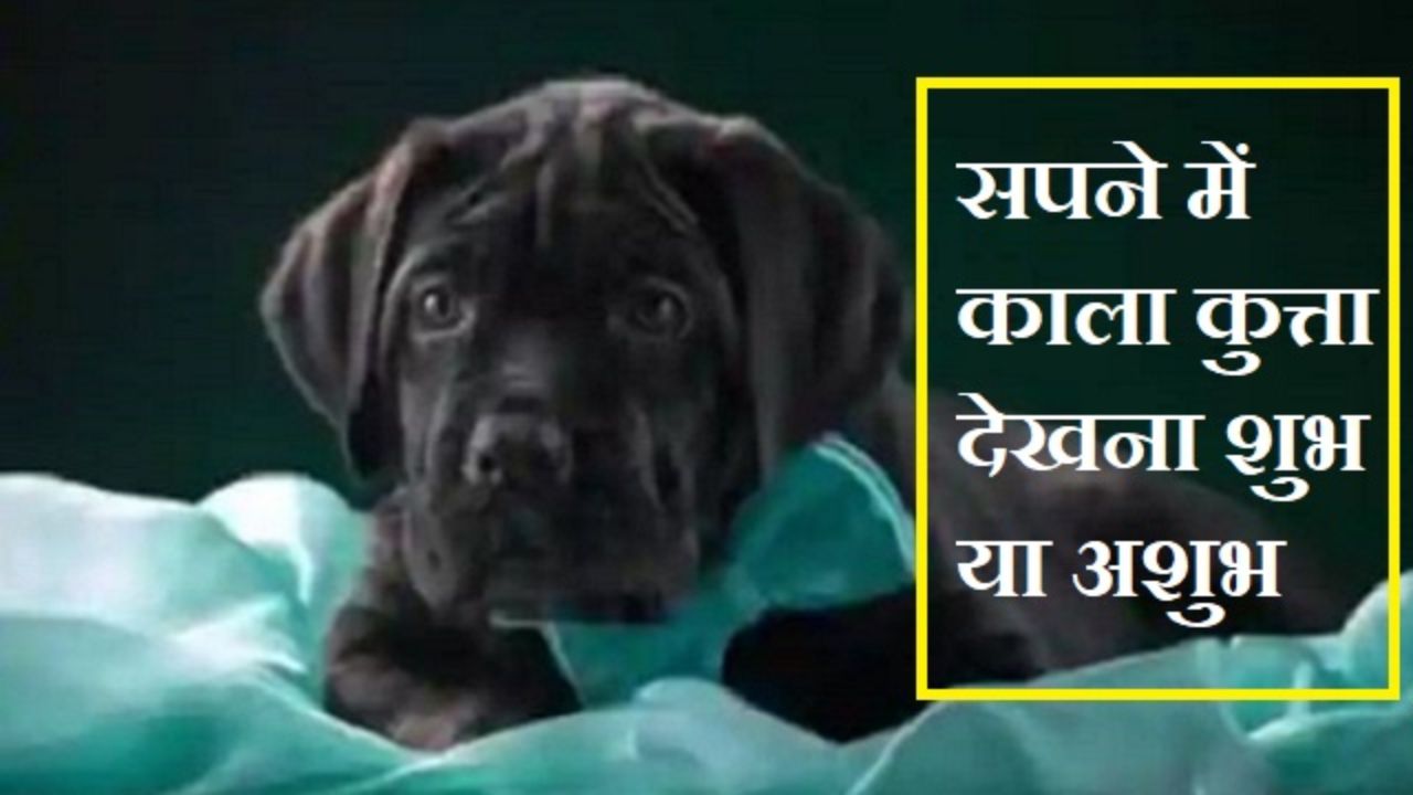 सपने में काला कुत्ता देखना